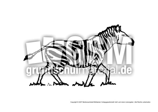 Zebra-3.pdf